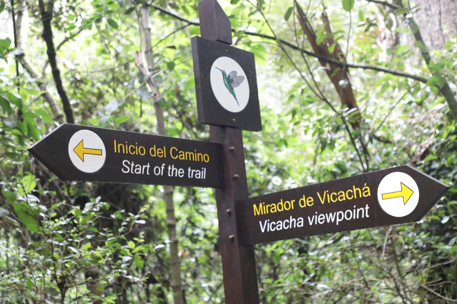 Jardín Botánico abre inscripciones para primer Club de Ciencias en camino ancestral