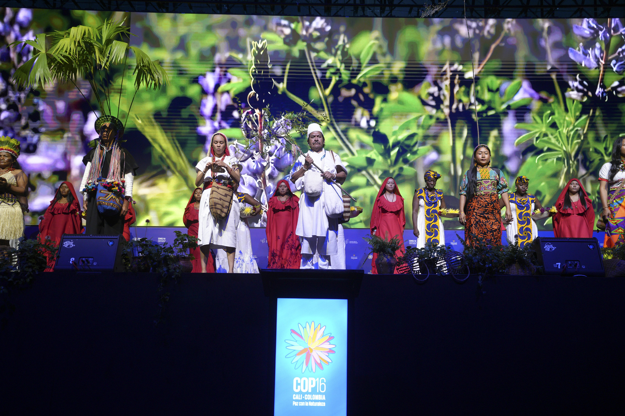 Así se vivió la inauguración de la COP16