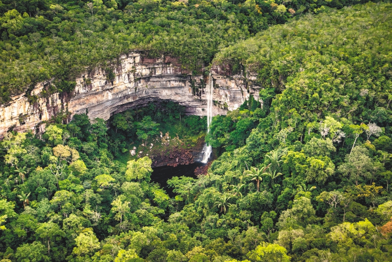 Petro confirmó que Colombia será sede de la cumbre de biodiversidad más importante
