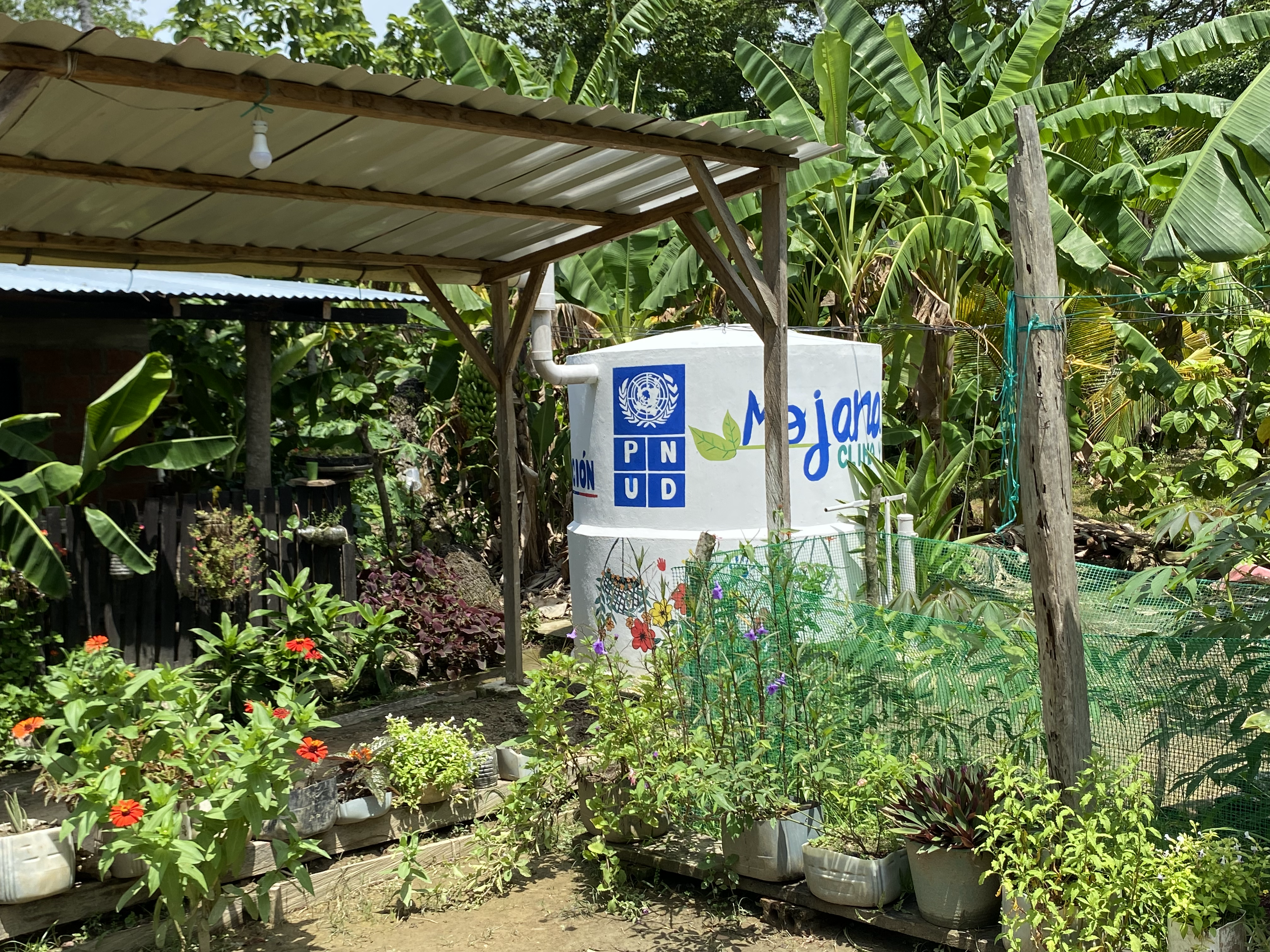 Con la iniciativa Mojana Clima y Vida, en el marco de “Agua al Límite”, estrategia del PNUD para la gestión sostenible del agua y la adaptación al cambio climático, las comunidades impulsan soluciones basadas en la naturaleza para garantizar el acceso seguro y sostenible al recurso hídrico.