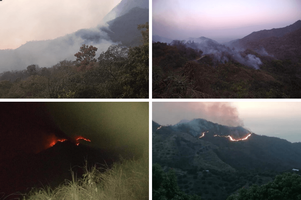 Llamas arrasan con casi 200 hectáreas en la Sierra Nevada de Santa Marta