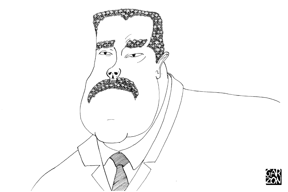 Cartones de Garzon