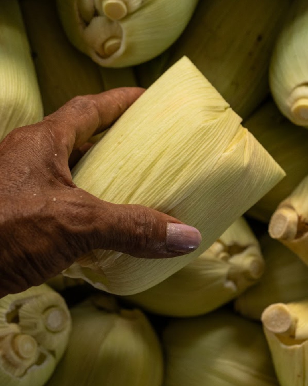 Cocinas Campesinas de Córdoba
