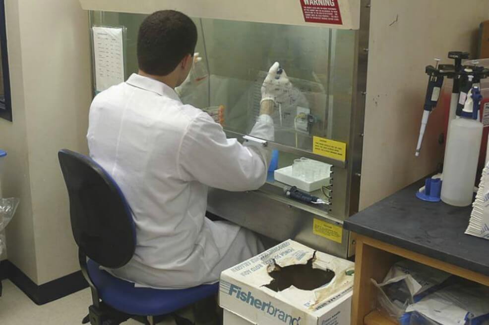 Nueva enfermedad similar a leishmaniasis surge en Brasil