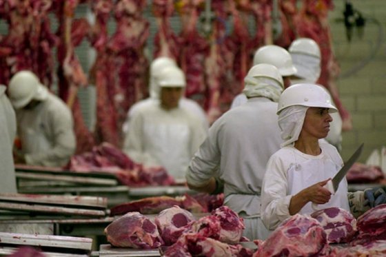 Producción de carne, responsable del 14,5% de emisiones de carbono