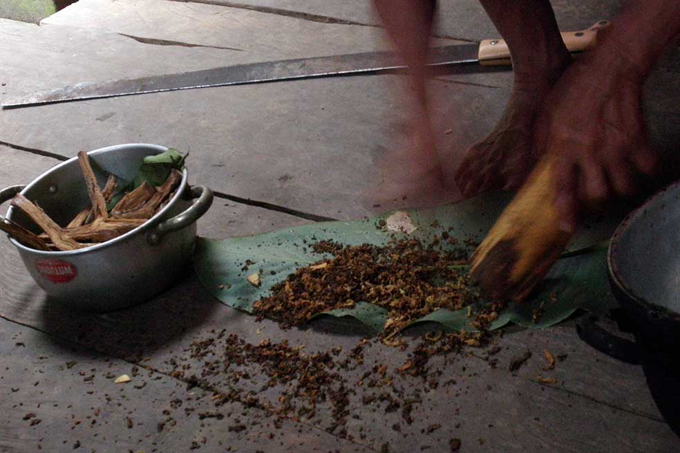 Los indígenas enseñan el “viaje” de la ayahuasca en el Foro Económico Latinoamericano