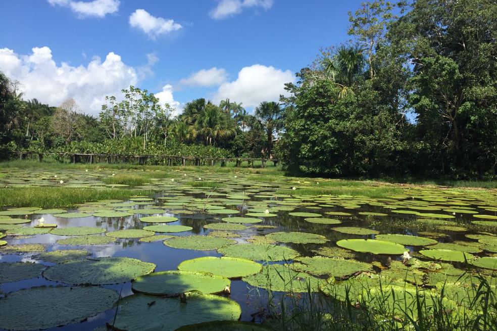Amazonas, un viaje que estremece la vida