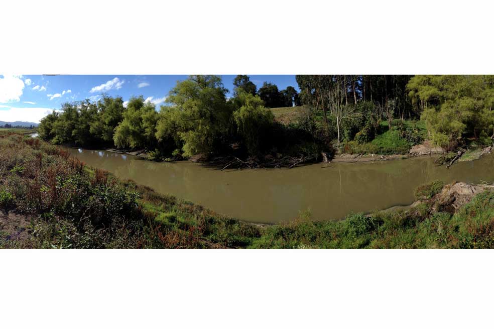 El estudio evaluó la fauna y la calidad del agua en 18 puntos del río Bogotá./Loreta Roselli