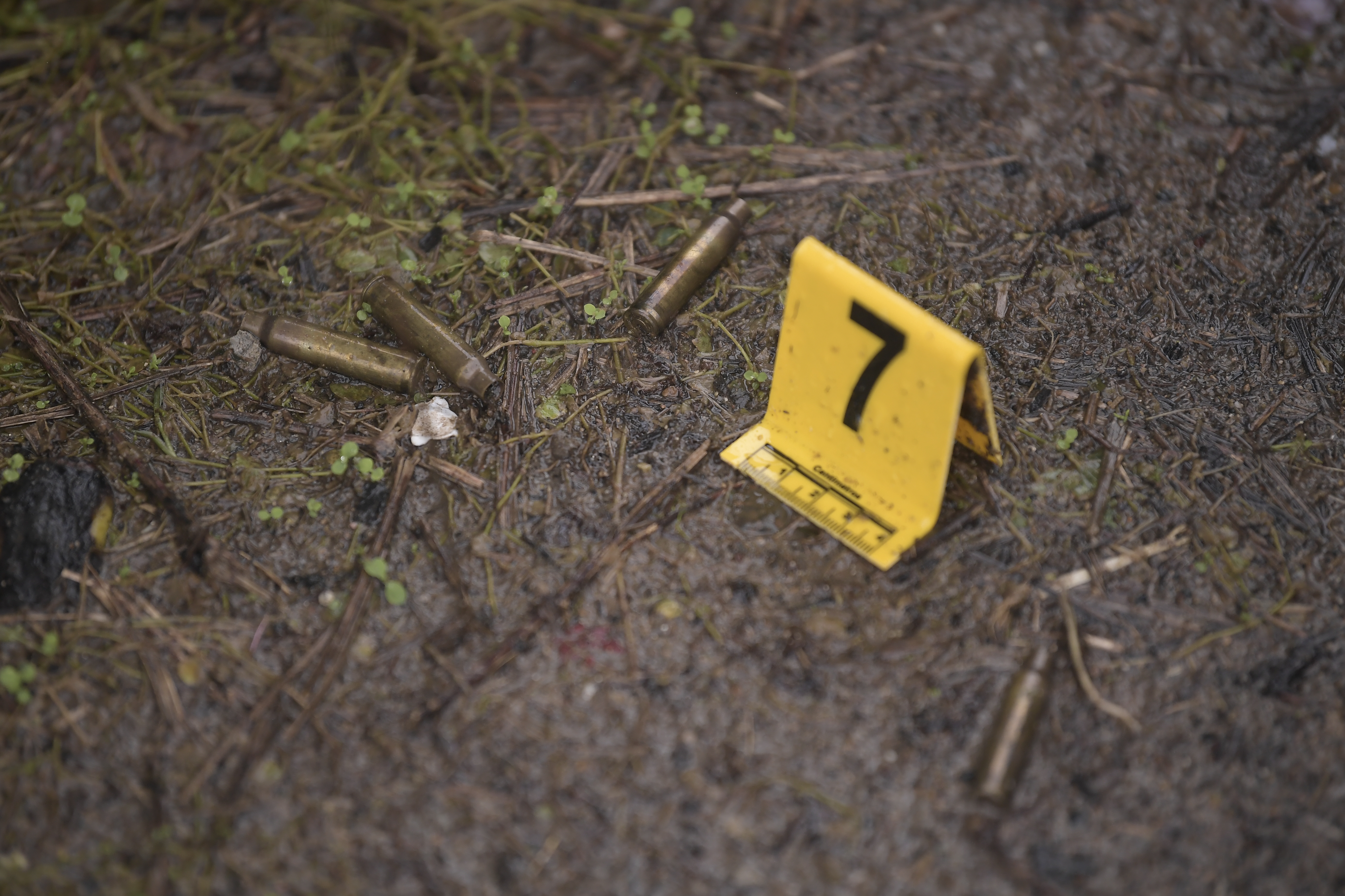 Masacre en Puerto Tejada: asesinaron a tres hombres en vía a Candelaria