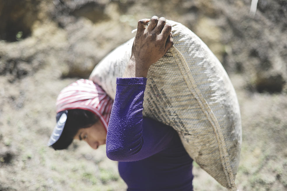 La mujer del café