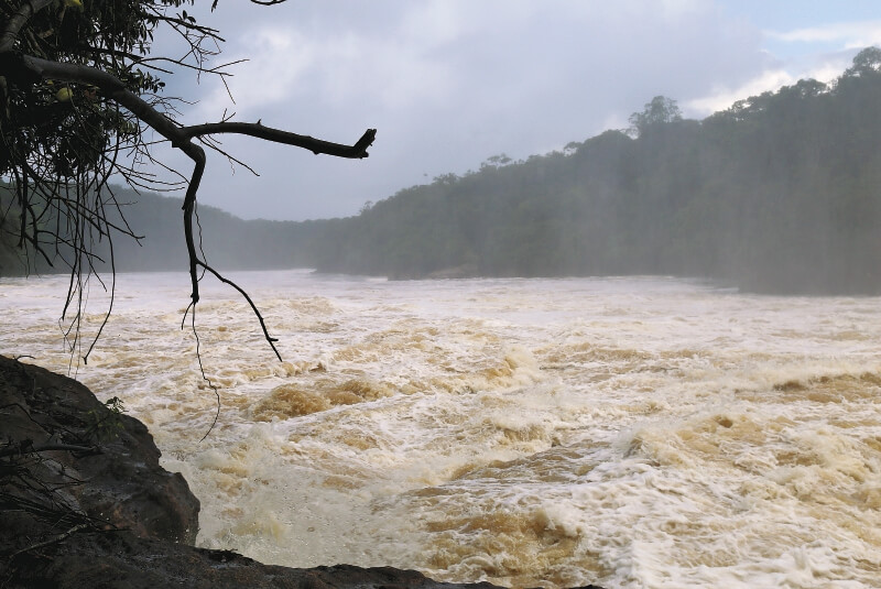 Al oriente del raudal de Jirijirimo está Vaupés; al occidente, Amazonas. / Frank Chávez, Instituto Sinchi