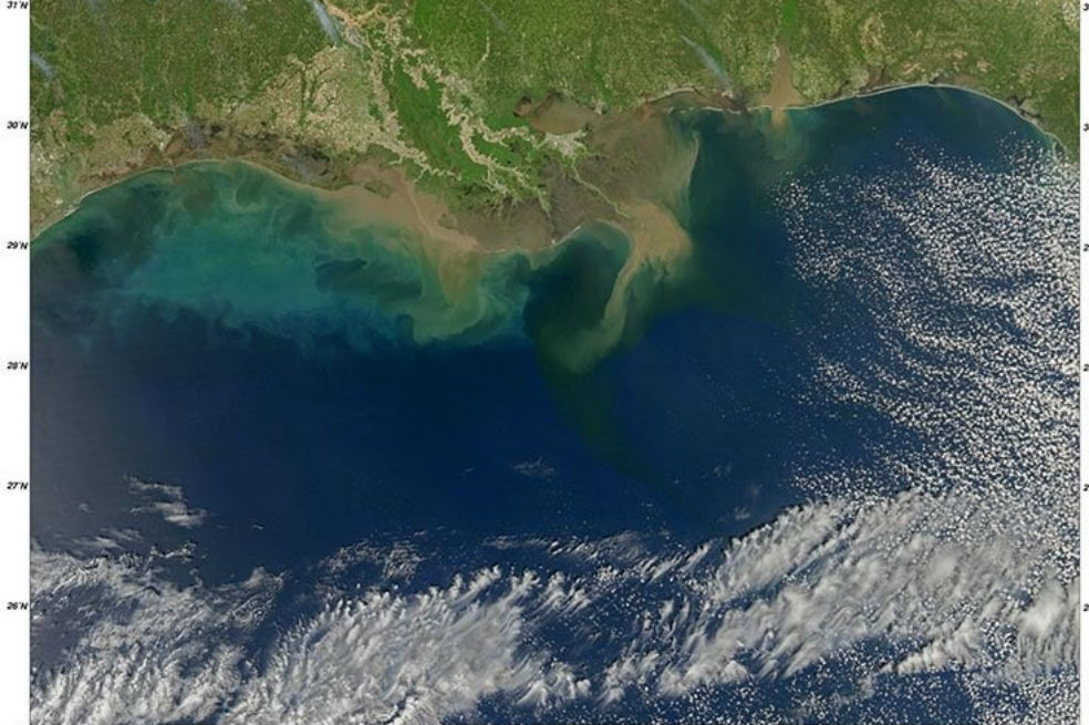 Área ‘muerta’ del Golfo de México no se recuperará hasta 2050