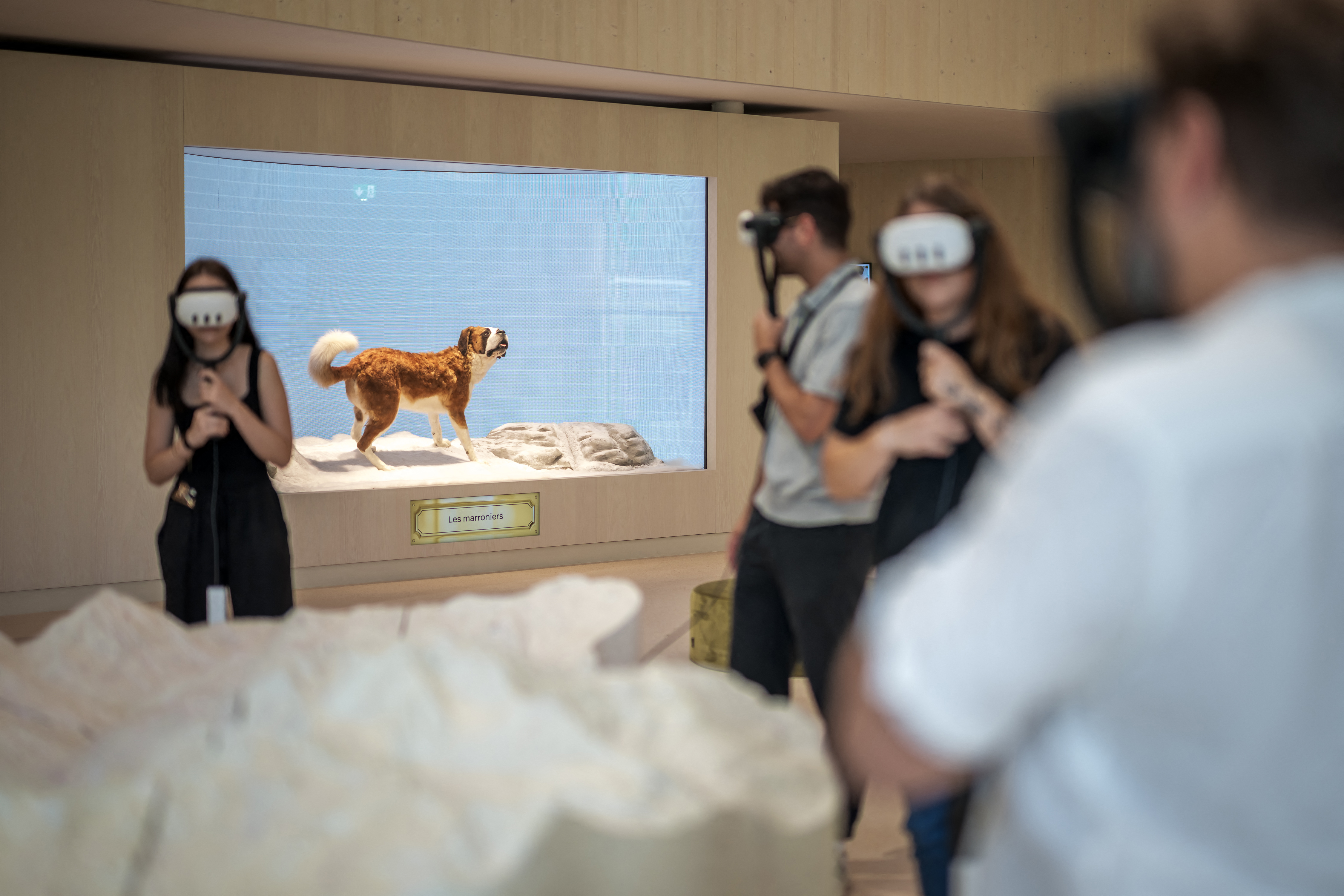 Visitors watch with virtual reality headsets next to a factice Saint Bernard dog at the Barryland museum and parc with a group exhibition in Martigny, in the Swiss Alps, on June 26, 2025.