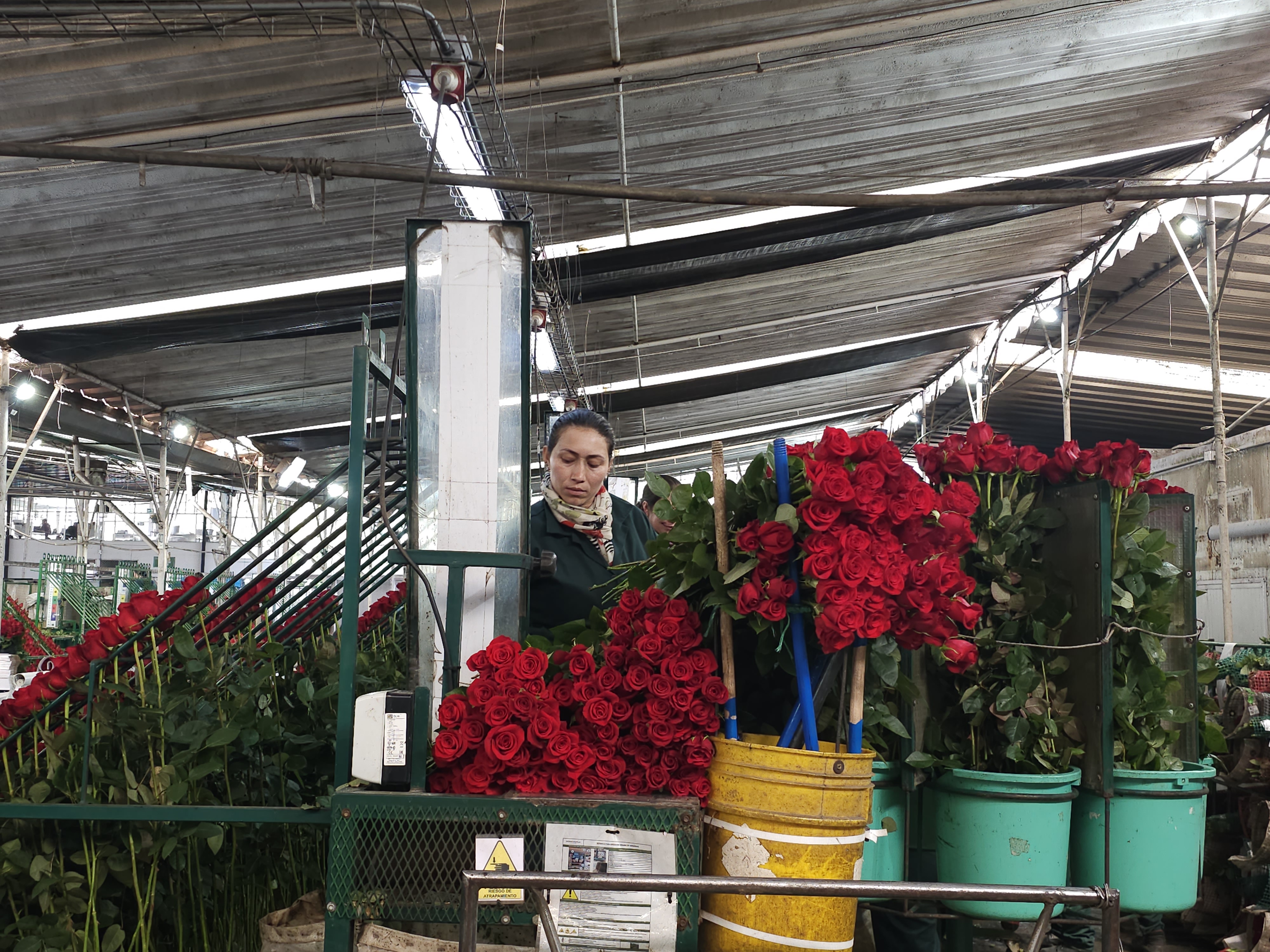 Panorama del mercado laboral colombiano, entre retos venideros y las brechas existentes