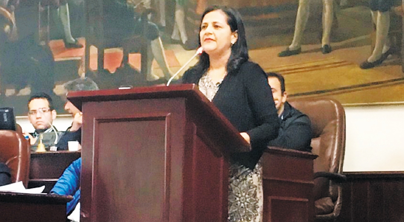 Carmen Castañeda sacó la mejor calificación entre los aspirantes a la Personería. / Concejo de Bogotá