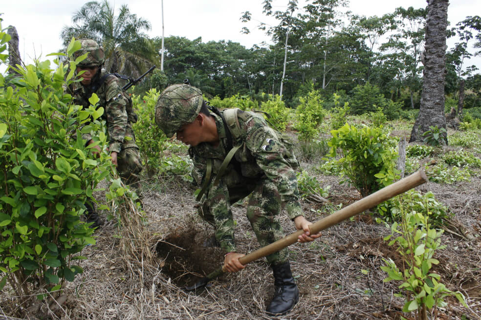 En plena pandemia de COVID-19, el Estado hace erradicación forzada en Catatumbo