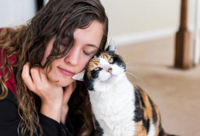 ¿Por qué mi gato se acerca a mi cara cuando duermo?