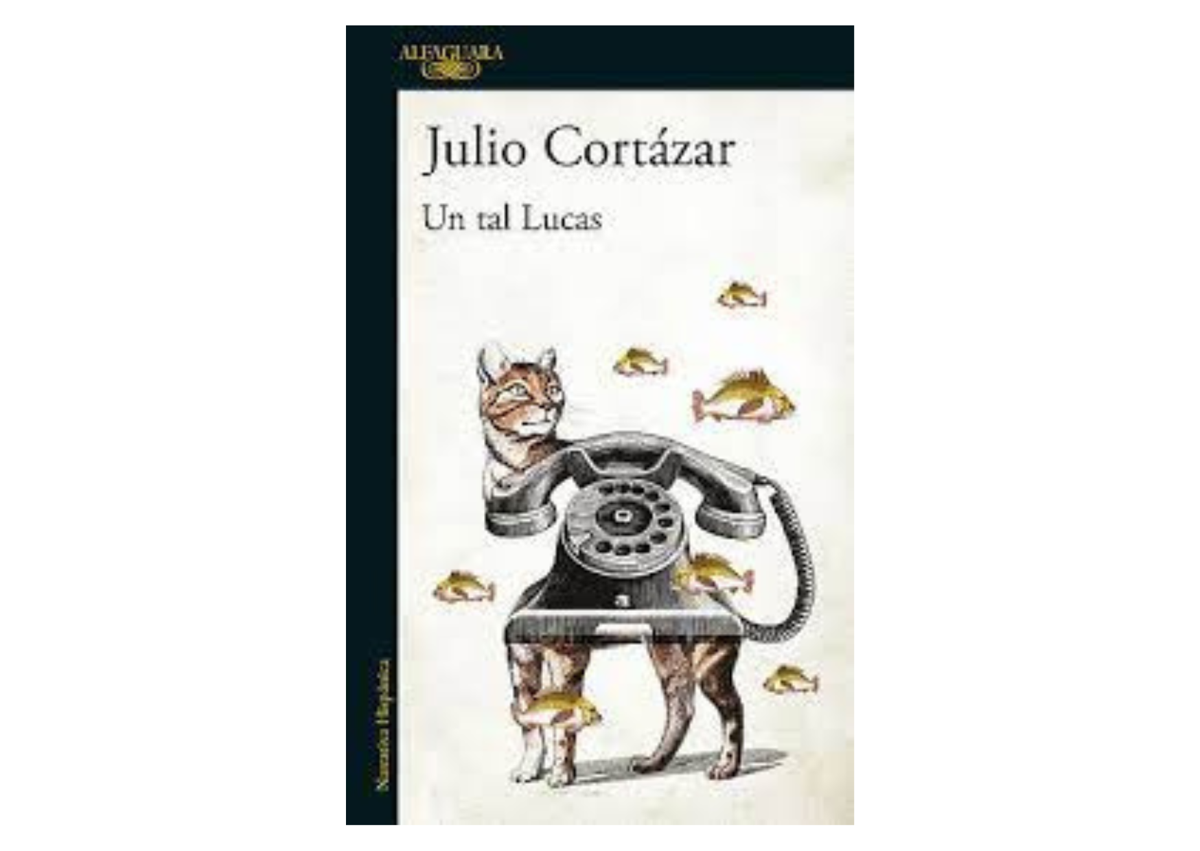 Julio Cortázar nació el 26 de agosto de 1914 en Bruselas, Bélgica, debido a que su padre trabajaba como funcionario de la embajada argentina en ese país. La familia regresó a Argentina cuando él tenía cuatro años, y creció en Banfield, un suburbio de Buenos Aires.