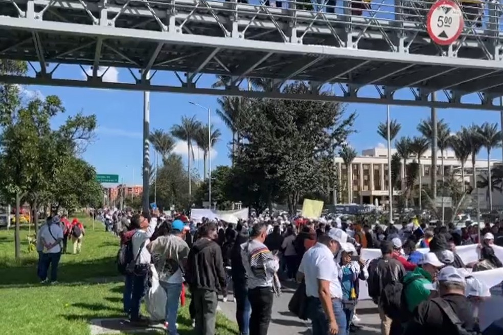 Sacan las espuelas: protesta en Bogotá por proyectos que prohíben peleas de gallos
