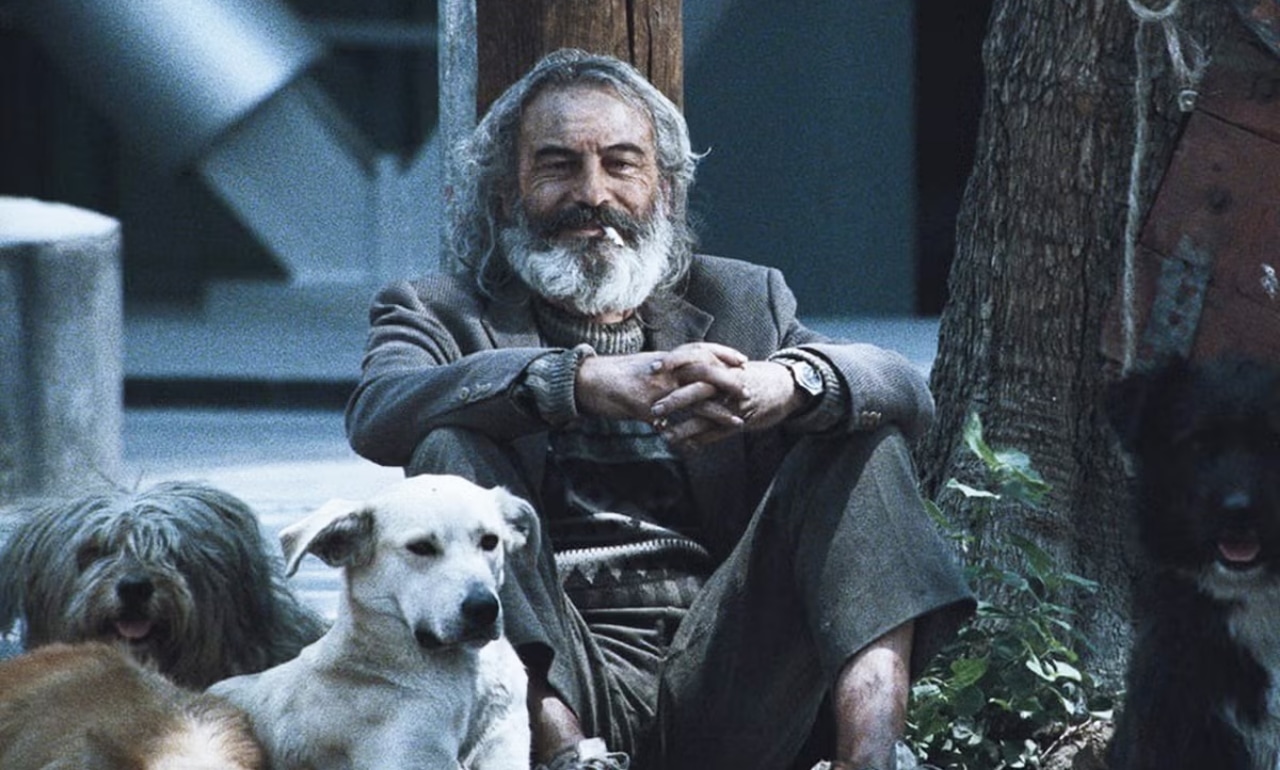 Amores perros” restaurada en 4K llega a MUBI junto a los estrenos de  octubre | Noticias hoy | EL ESPECTADOR