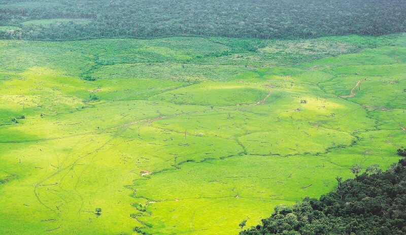 En 2018 se talaron 138.176 hectáreas de bosque amazónico. / Cortesía: Rodrigo Botero