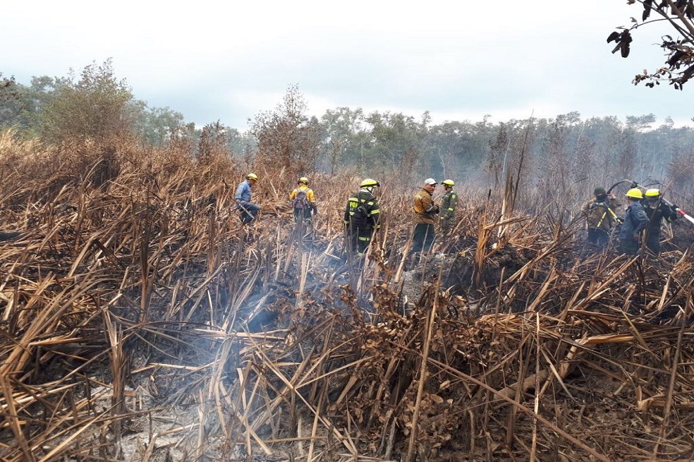 Continúan las labores para combatir incendio forestal en el parque Isla Salamanca