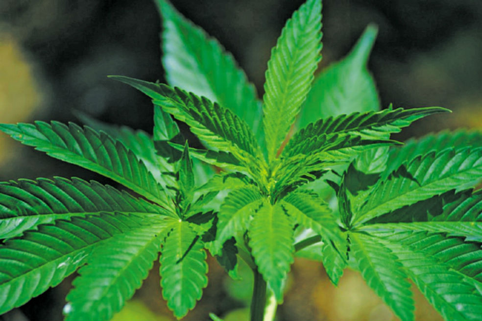 Sancocho al que le habrían agregado marihuana deja 16 intoxicados en Magdalena