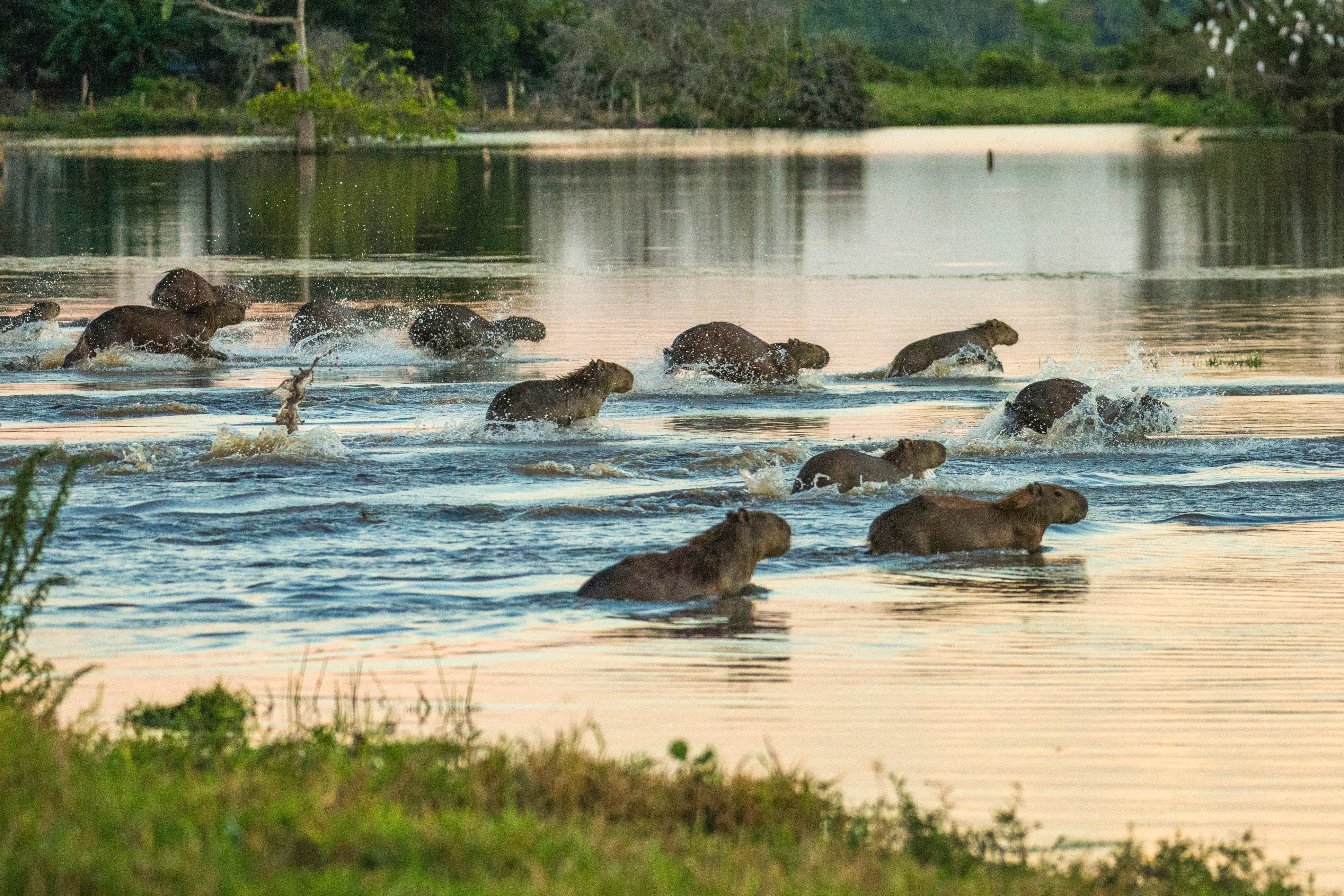 Los humedales son el 26 % del territorio en Colombia, pero están riesgo