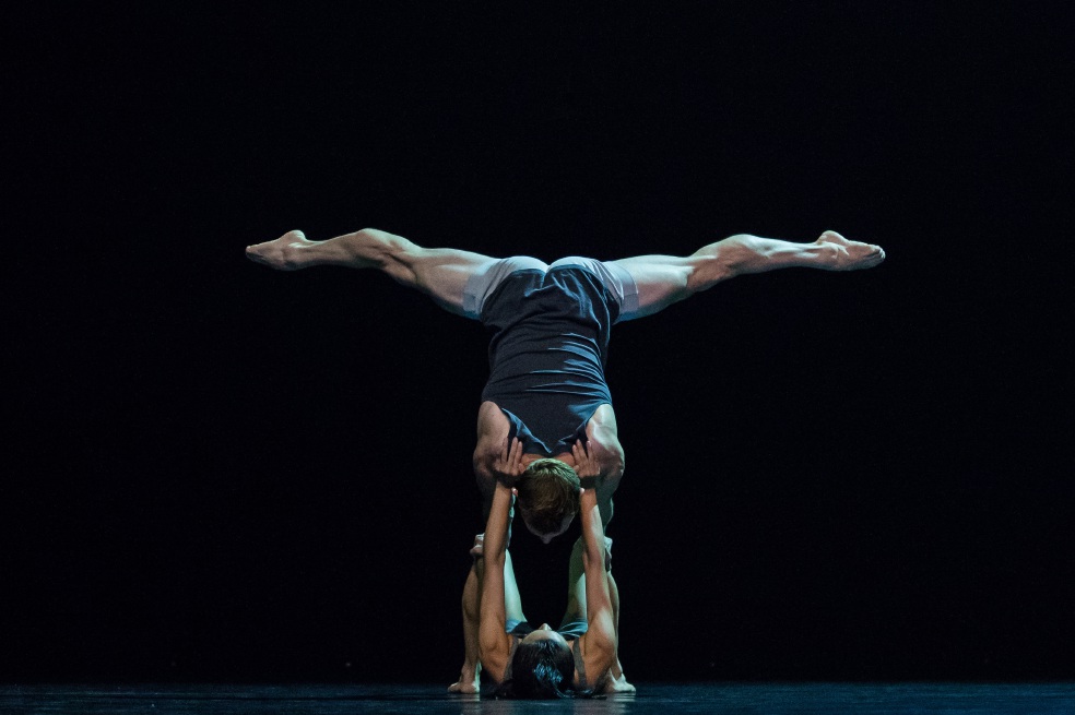 Sydney Dance Company, arte en movimiento