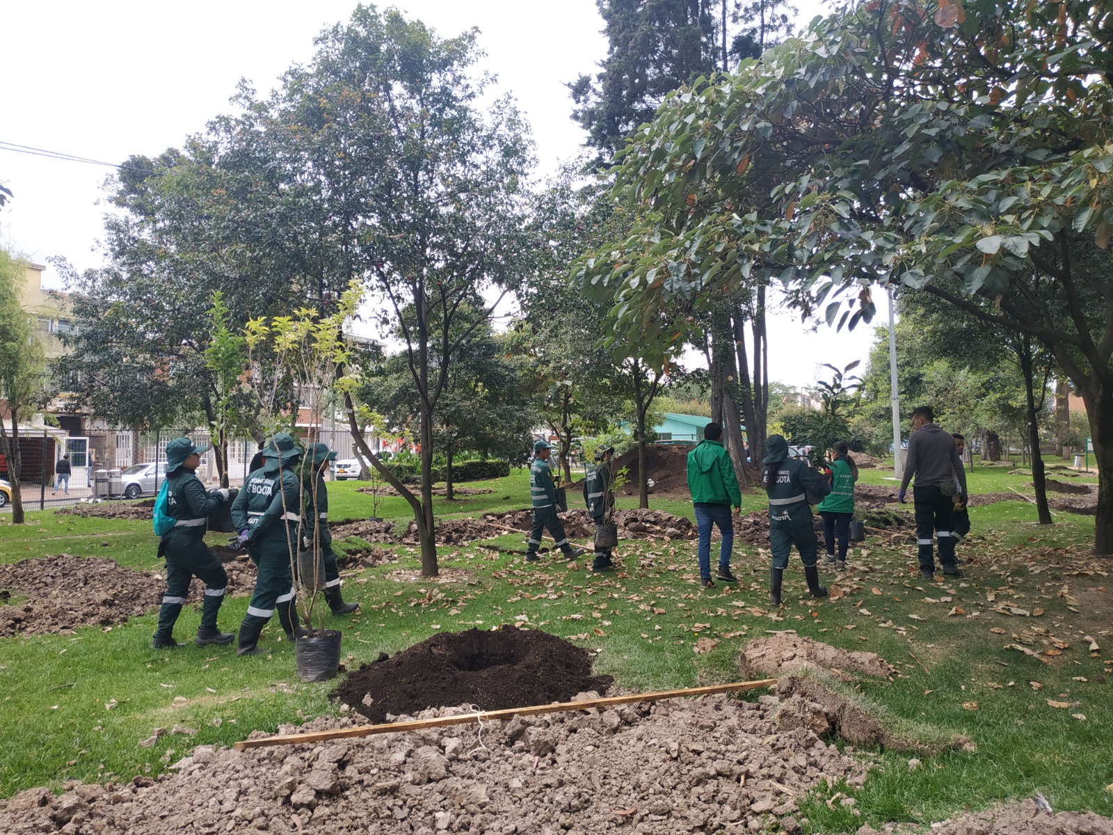 Jardín Botánico responde ante la tala de árboles en Bosque San Carlos