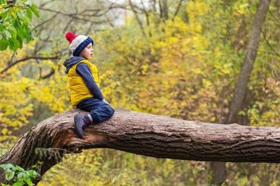 Rodearse de espacios verdes en la infancia puede mejorar la salud mental en la edad adulta
