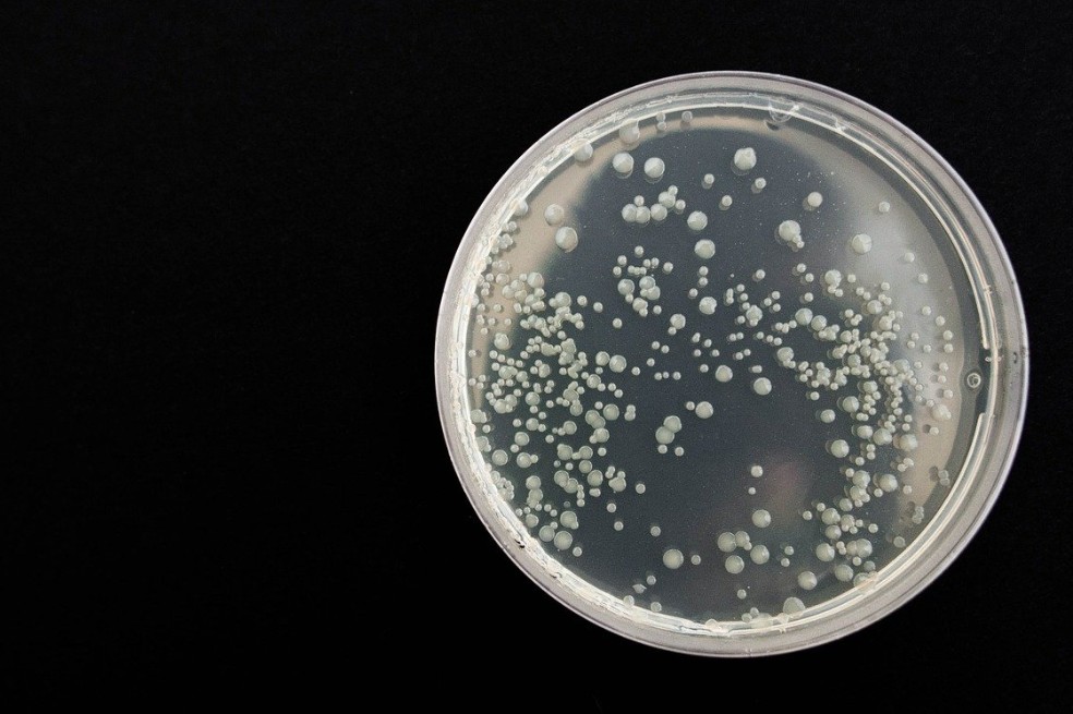 Científicos descubren que existe un vínculo entre cambio climático y bacterias resistentes