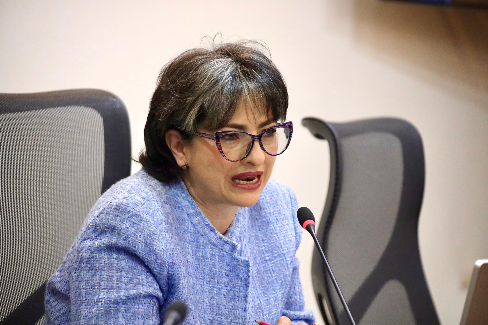 Dora Lucy Arias, candidata a la Defensoría.