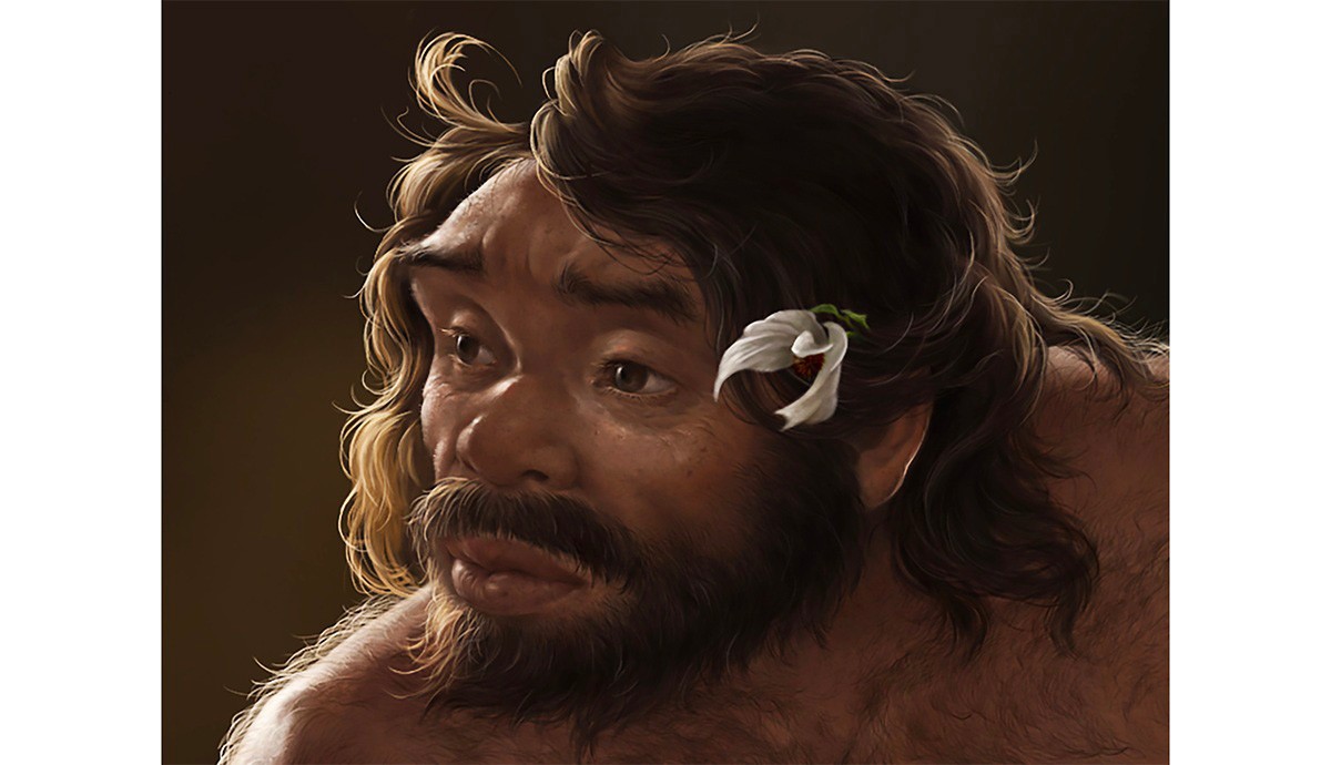 La reconstrucción 3D de un cráneo de un millón de años sugiere nuevos orígenes humanos