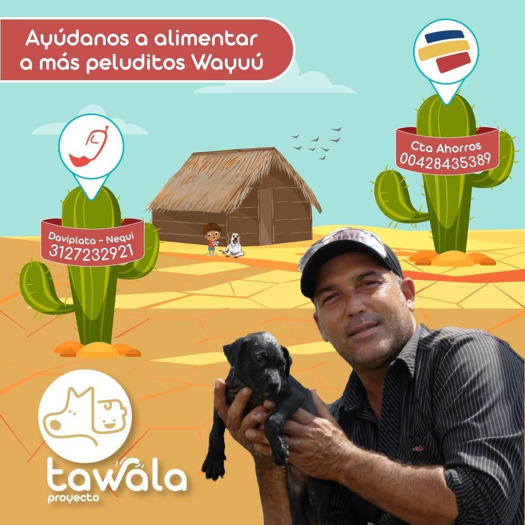 Esta es vía bancolombia, nequi y daviplata para que dones y te unas a la causa. "Proyecto tawala"