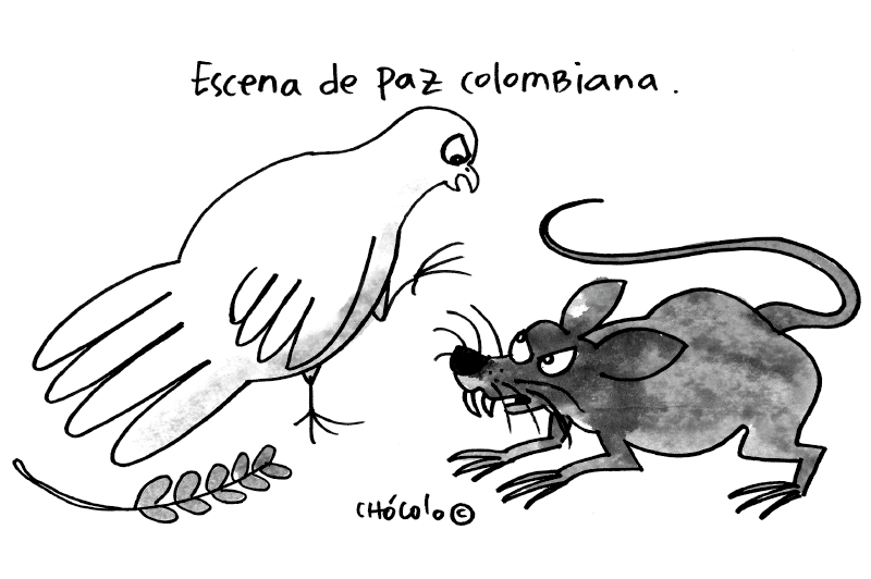 Chócolo