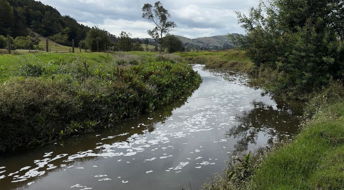 El río Bogotá mejora, pero las deudas ambientales ralentizan su recuperación
