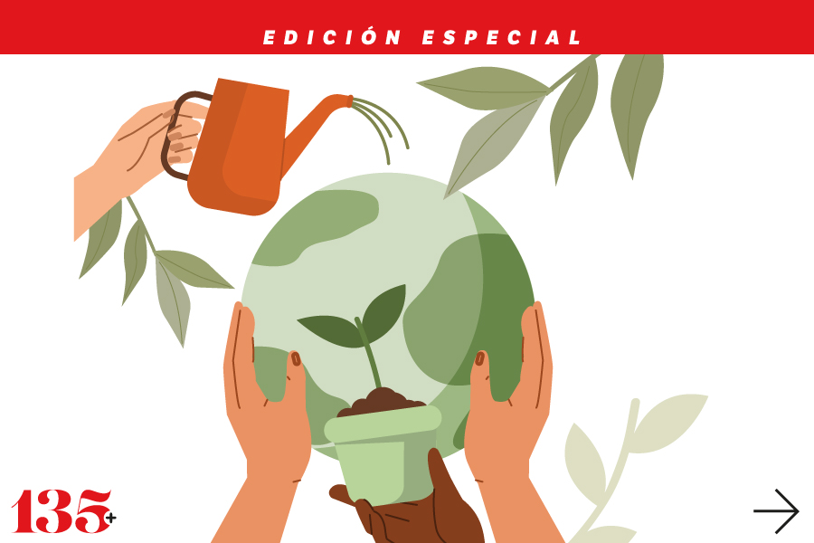 Enseñar sobre deforestación en los 13 municipios más afectados