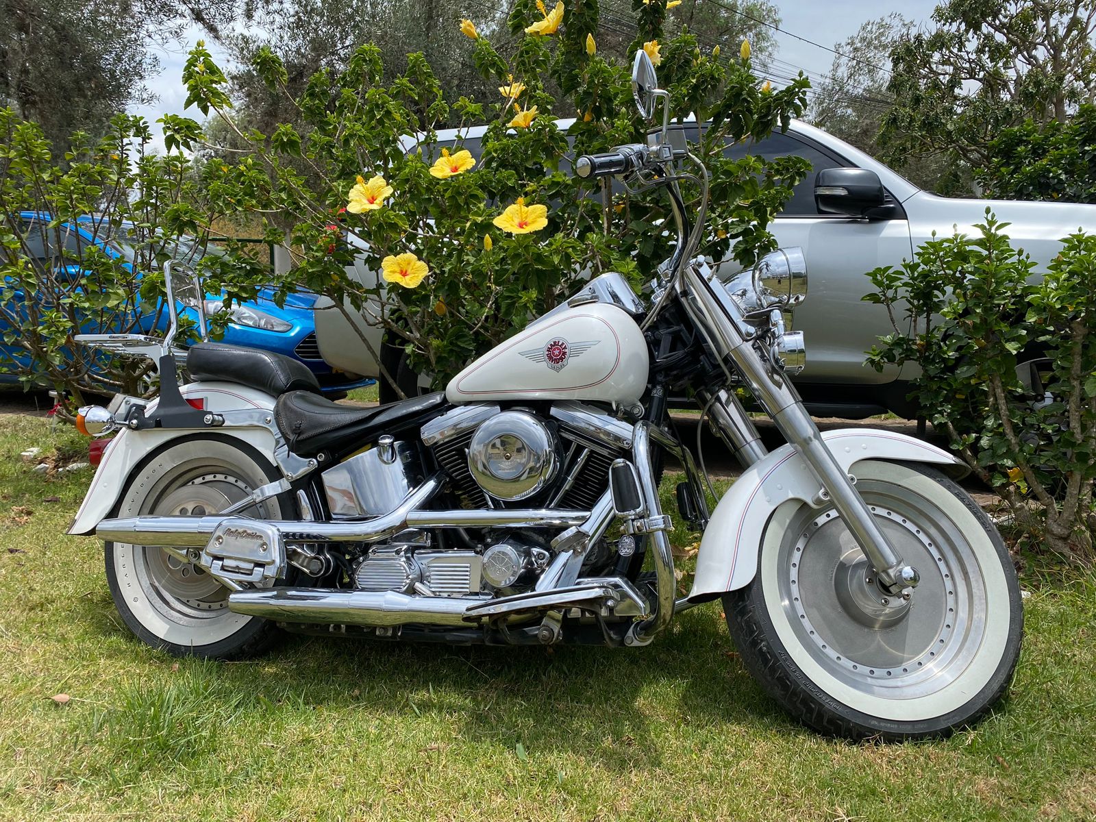Harley-Davidson exhibe 32 motos con más de 70 años de historia en Centro Chía