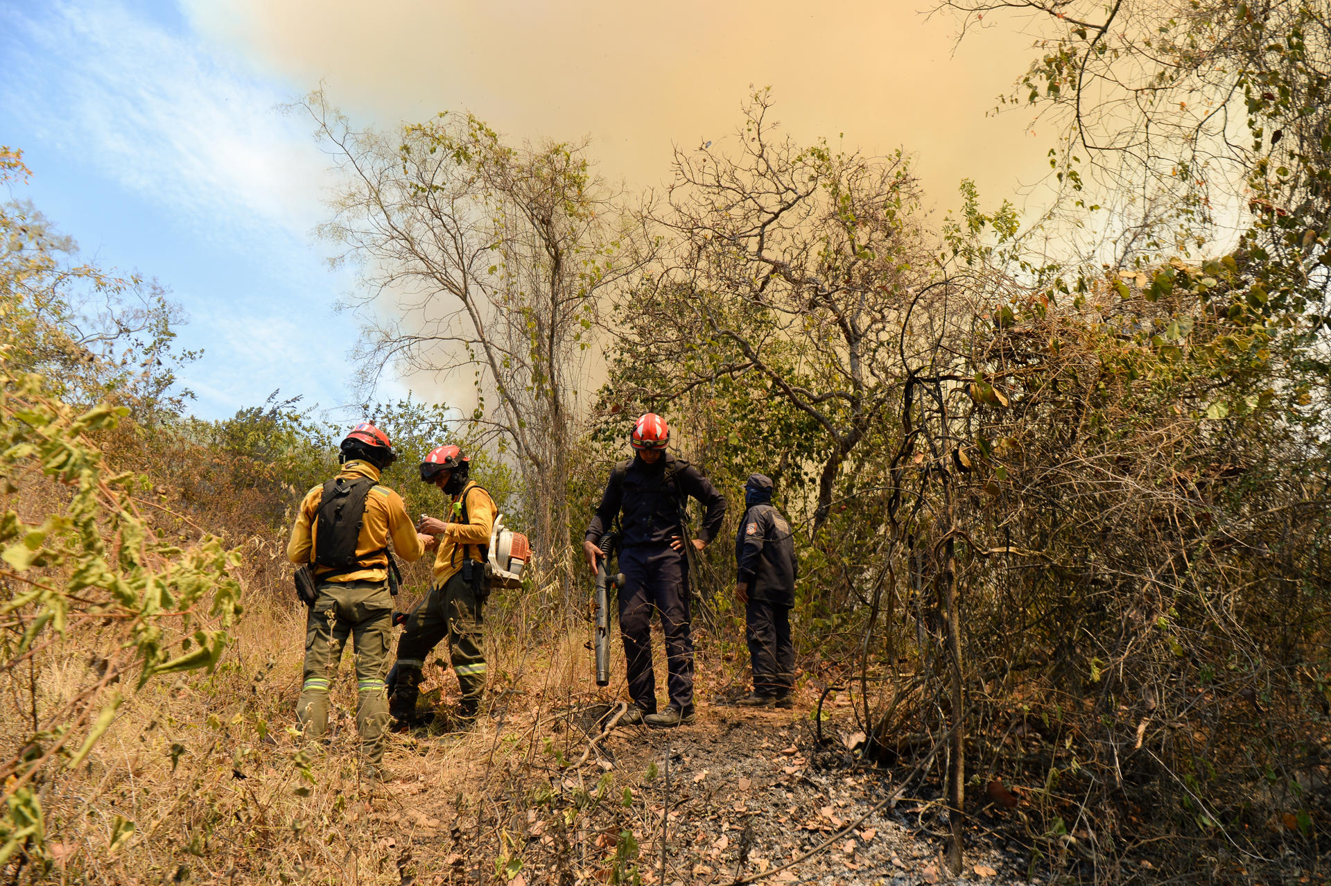 Tolima: se reactivó incendio en Coello mientras en Suárez se mantienen cuatro puntos activos