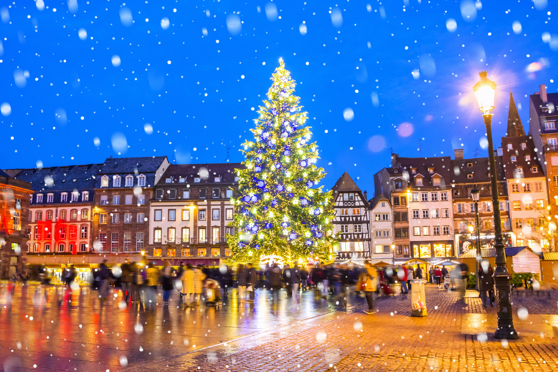 El abeto (El árbol de navidad) (Novena literaria)