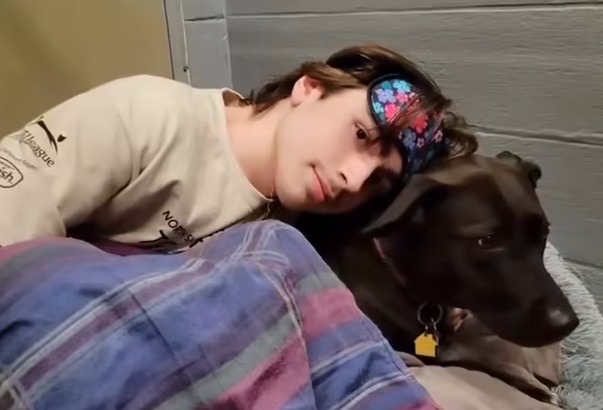 Refugio organiza pijamada para que perros sin hogar duerman acompañados por primera vez