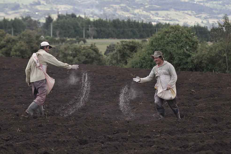 Una cuestión de agroinsumos