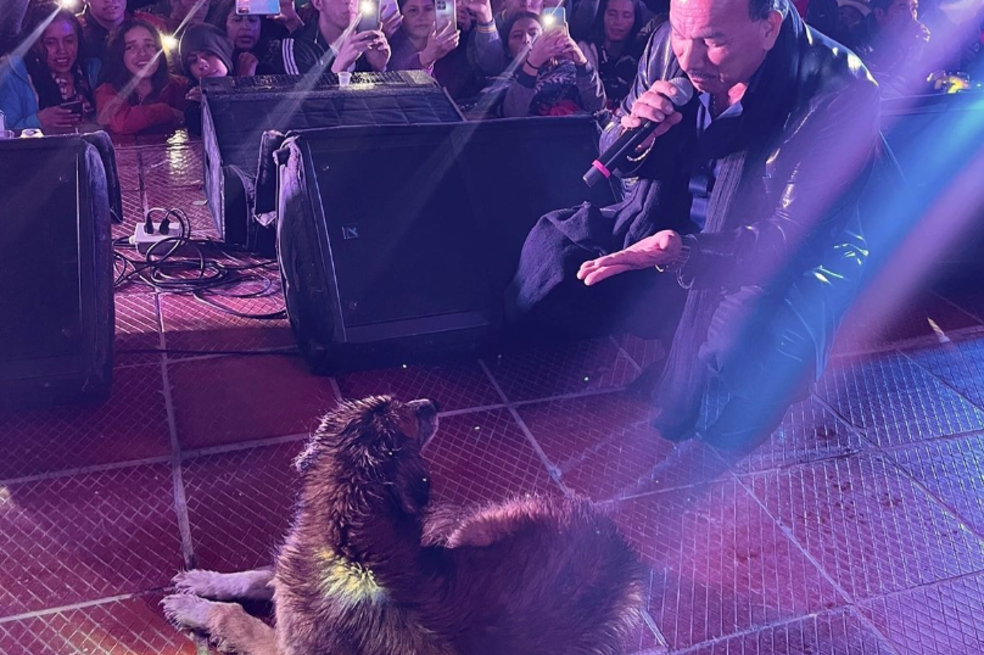 Un perro subió al escenario durante concierto de ‘El Charrito Negro’, en Boyacá