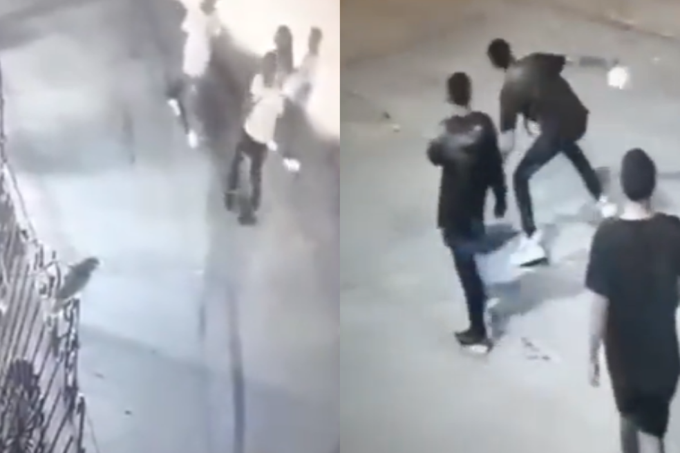 Maltrato animal: jóvenes golpearon y metieron en una bolsa a un loro en Riohacha