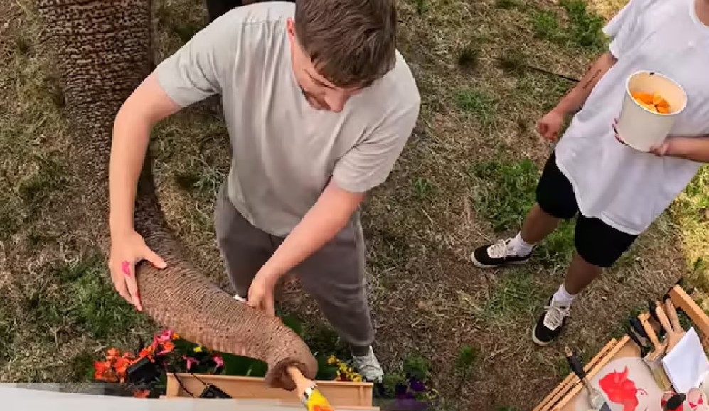 MrBeast enfrenta críticas por el uso de animales salvajes para entretener