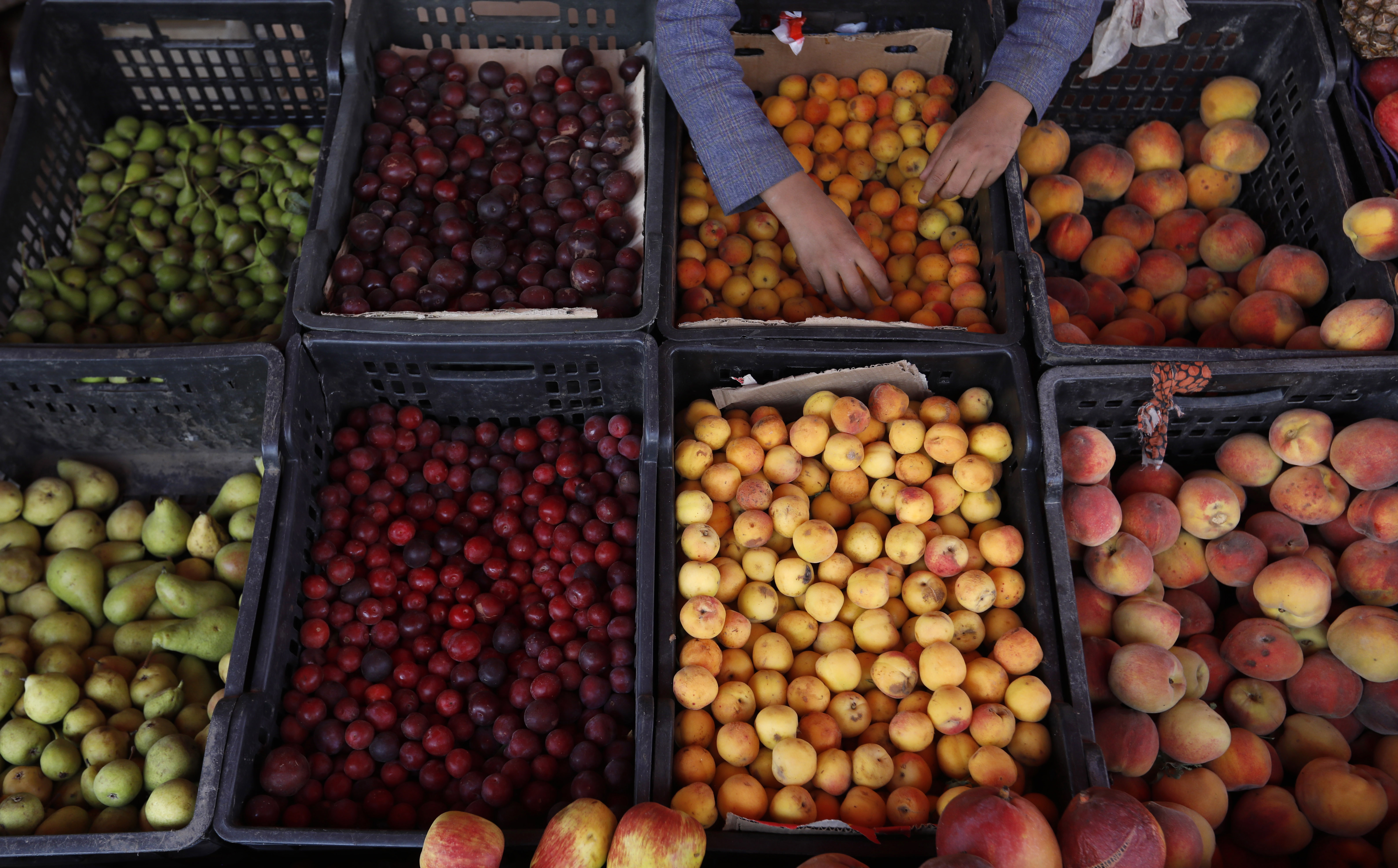 América Latina fue la región más cara del mundo para tener una dieta saludable en 2024: ONU