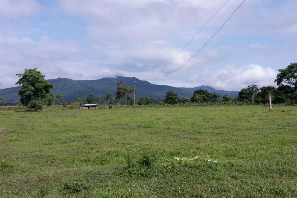 Amenazan de muerte a familia reclamante de tierras en Guacamayas, Antioquia