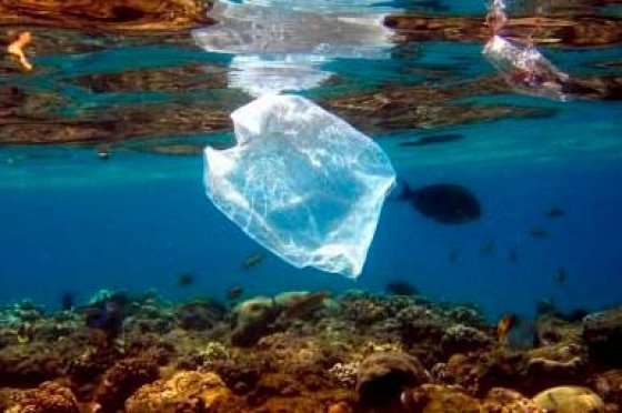 Limpiar de plástico el océano tiene solución y está en manos de cinco países