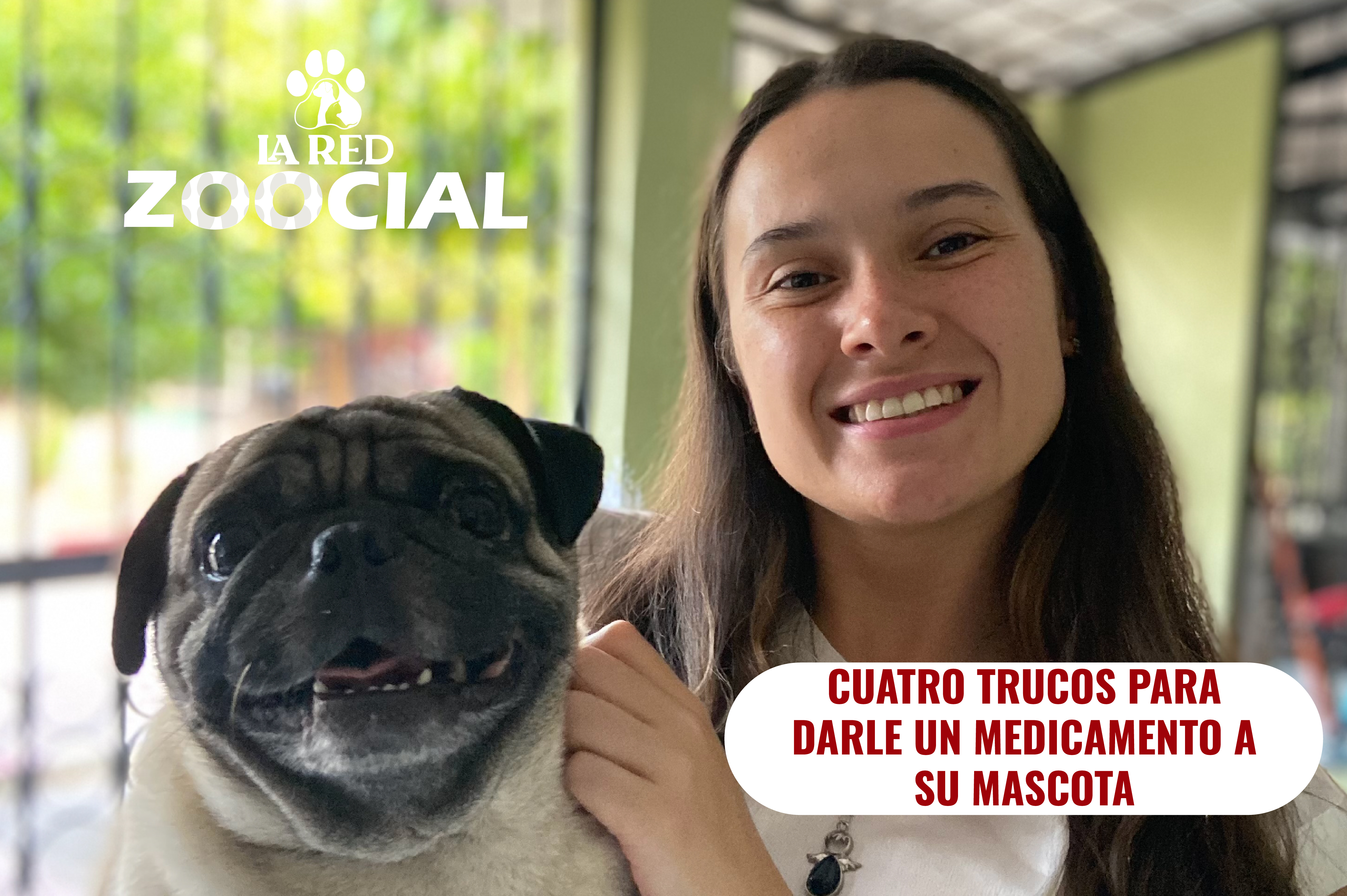 (VÍDEO) Cuatro trucos para darle un medicamento a su mascota